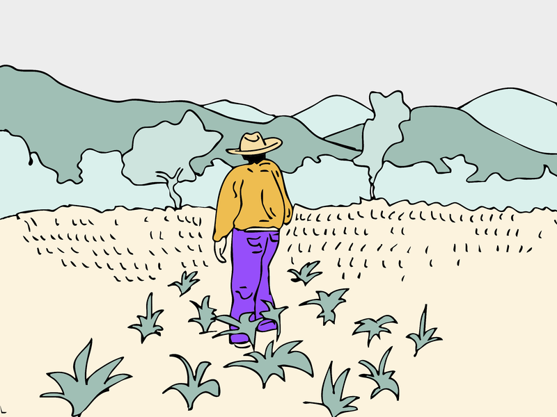 Vor einem Feld und bergen steht ein Mensch mit einem Sombrero