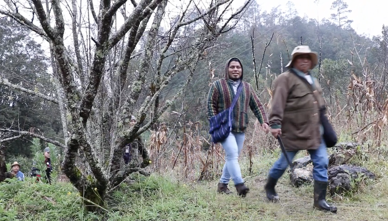 Personen laufen vor einer Milpa