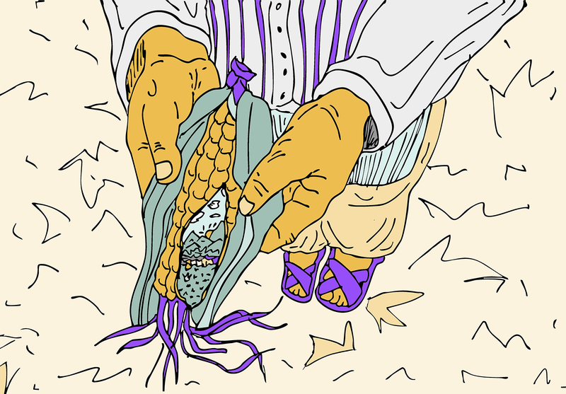 Zwei hände halten einen Maiskolben