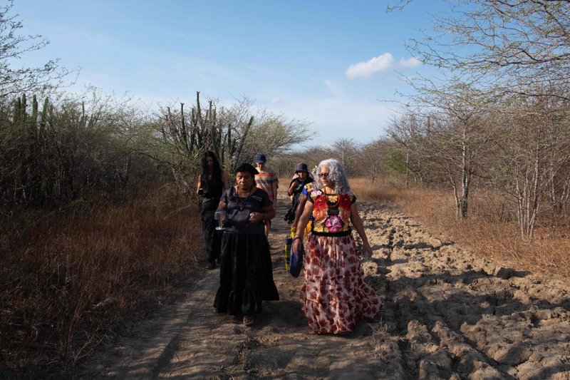 Am zweiten Tag der Karawane brachten Bettina Cruz und andere indigene Binnizá-Frauen eine Opfergabe auf dem Grundstück El Pitayal dar, auf dem die Bundesregierung im Rahmen des Interozeanischen Korridors einen Industriepark errichten will. Forum: Isabel Mateos.