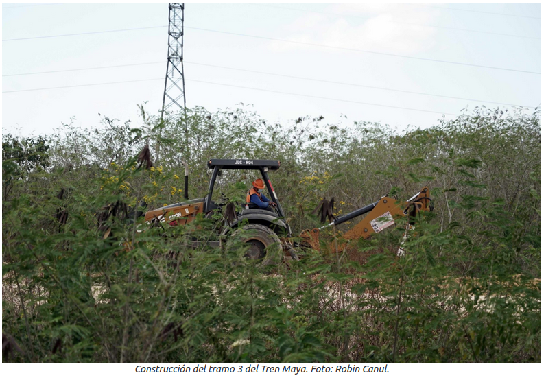 Ein Baufahrzeug im Wald
