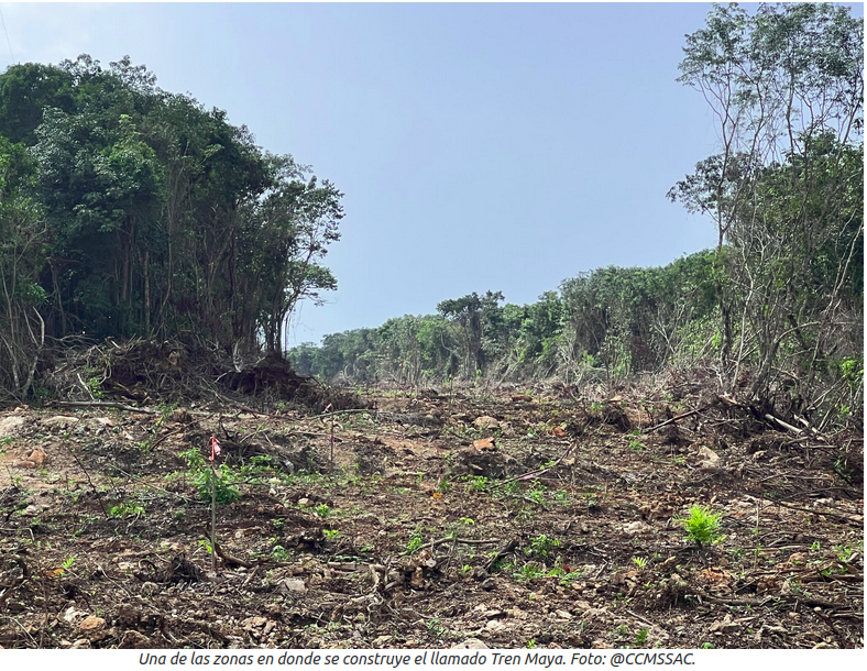 Ein Bild der Schneise, wo eines Tages der Tren "Maya" verlaufen wird