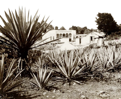 Henequén-Plantage vor einem kolonialen Haus