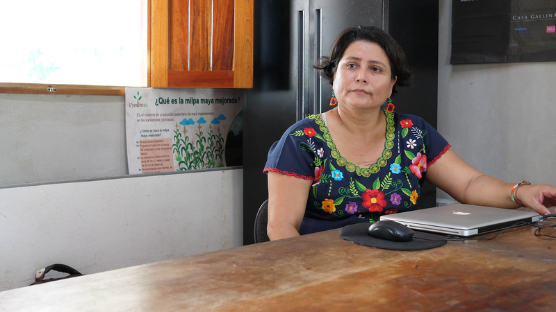 Portrait von Maria Antonieta Bocanegra an einem Schreibtisch